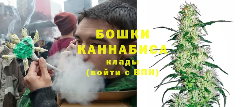 Бошки Шишки индика  купить наркоту  Химки 